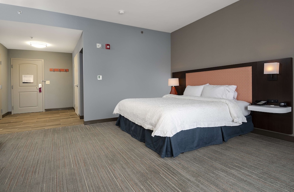 Room, 1 King Bed with Sofa bed, Accessible, Non Smoking (Mobility & Hearing, Roll-in Shower) - Photo 3