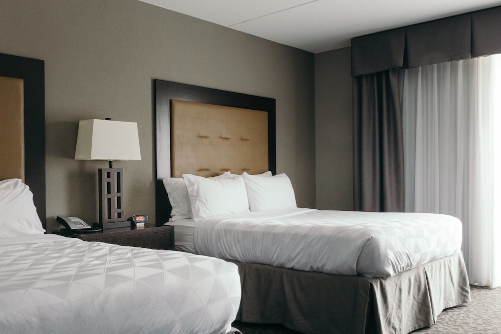 Suite, 1 Bedroom (2 Queen, Sofa Bed)