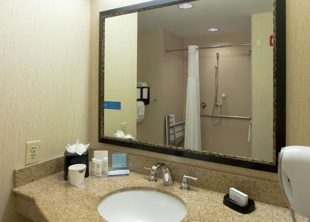Room, 1 King Bed, Accessible (Mobility & Hearing, Roll-in Shower) photo 2