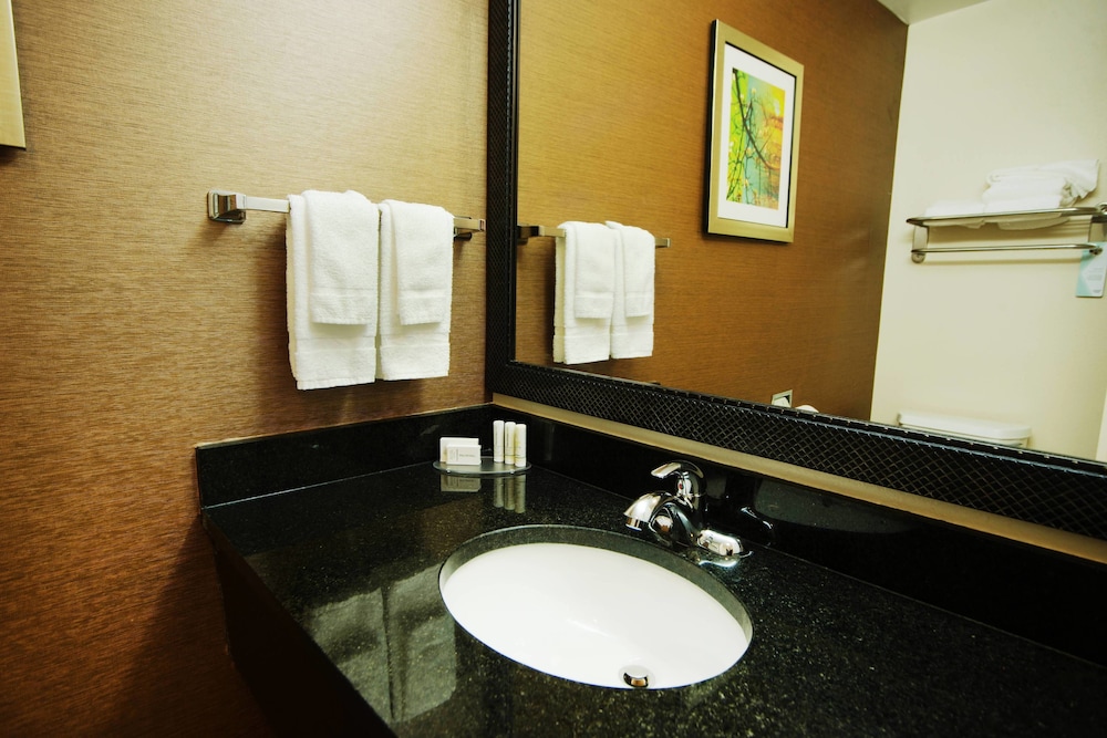 Room, 1 King Bed (Mobility/Hearing Access, Roll-In Shwr) - Photo 3