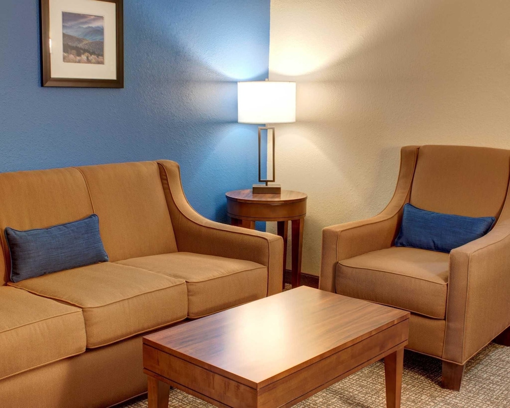 Suite, 1 King Bed with Sofa bed, Non Smoking photo 3