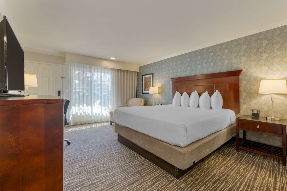 Suite, 1 King Bed, Accessible, Bathtub (with Sofabed) - Photo 1