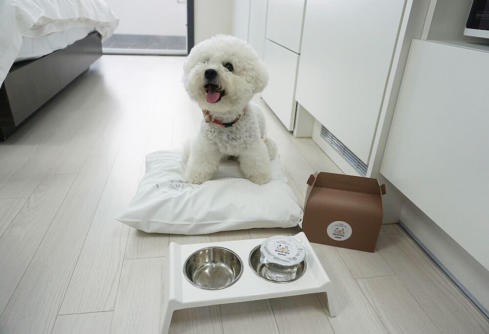 Family Twin Room (below 6kg, 1 pet allowed) - Photo 8