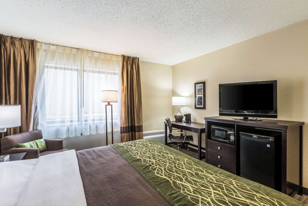 Standard Room, 1 King Bed, Non Smoking, Jetted Tub - Photo 3