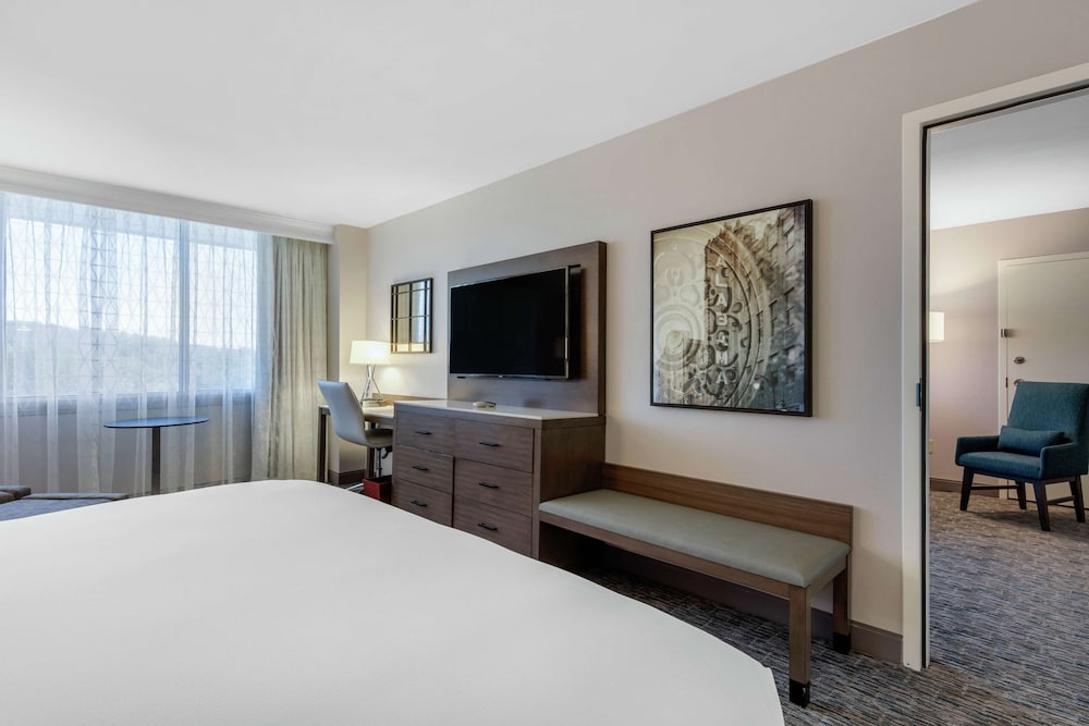 Suite, 1 King Bed, Accessible (Mobility & Hearing, Roll-In Shower) photo 3
