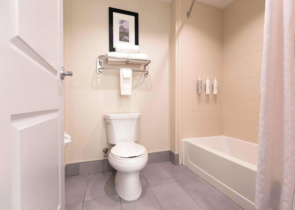 Suite, 1 Bedroom (Large) photo 2