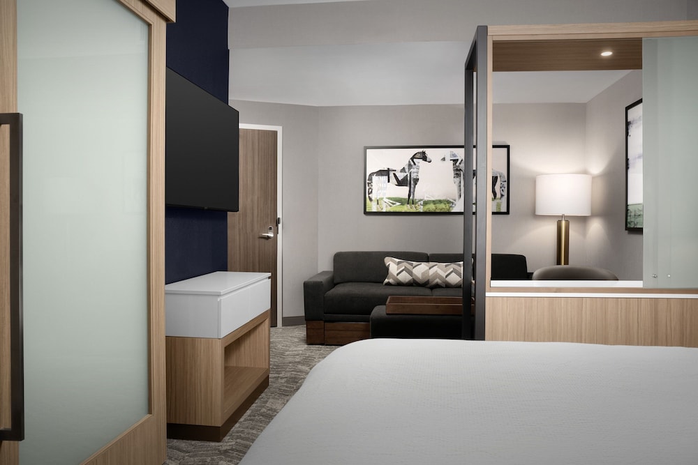 Suite, 1 King Bed with Sofa bed (Mobility Accessible, Roll-in Shower) photo 3