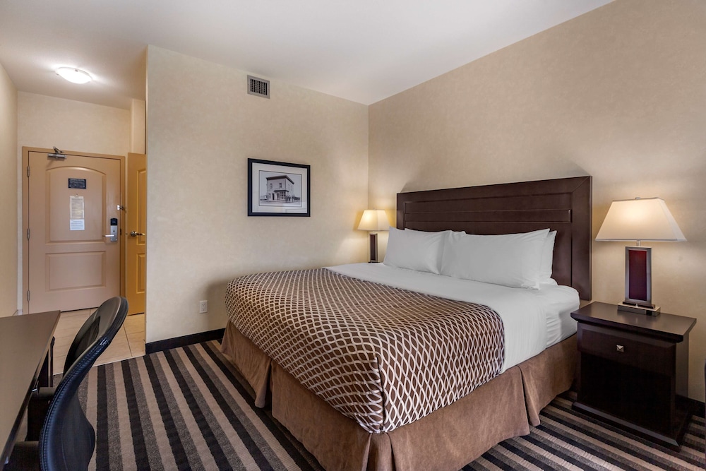 Standard Room, 1 King Bed, Non Smoking, Refrigerator & Microwave - Photo 4