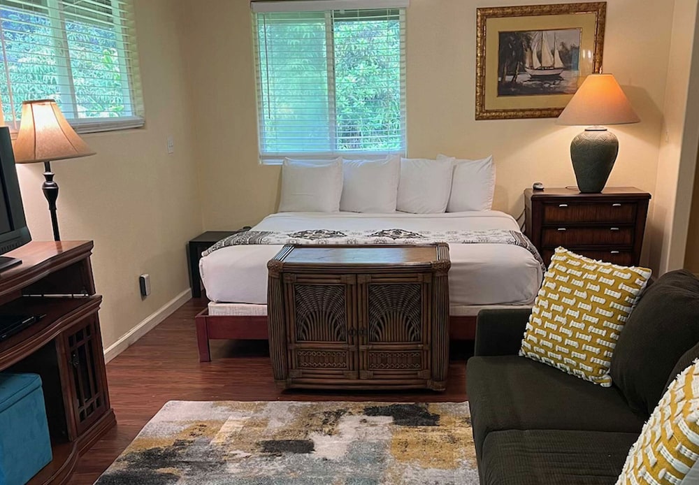 Deluxe Studio Suite photo 1