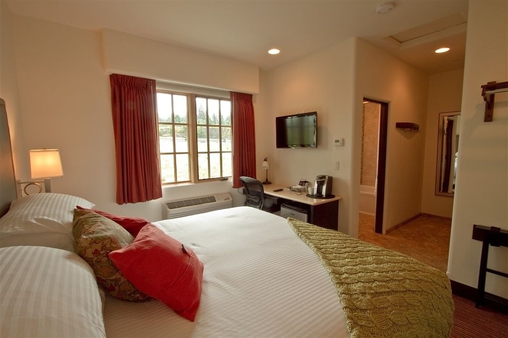 Standard Room, 1 King Bed (Euro King Room) photo 1