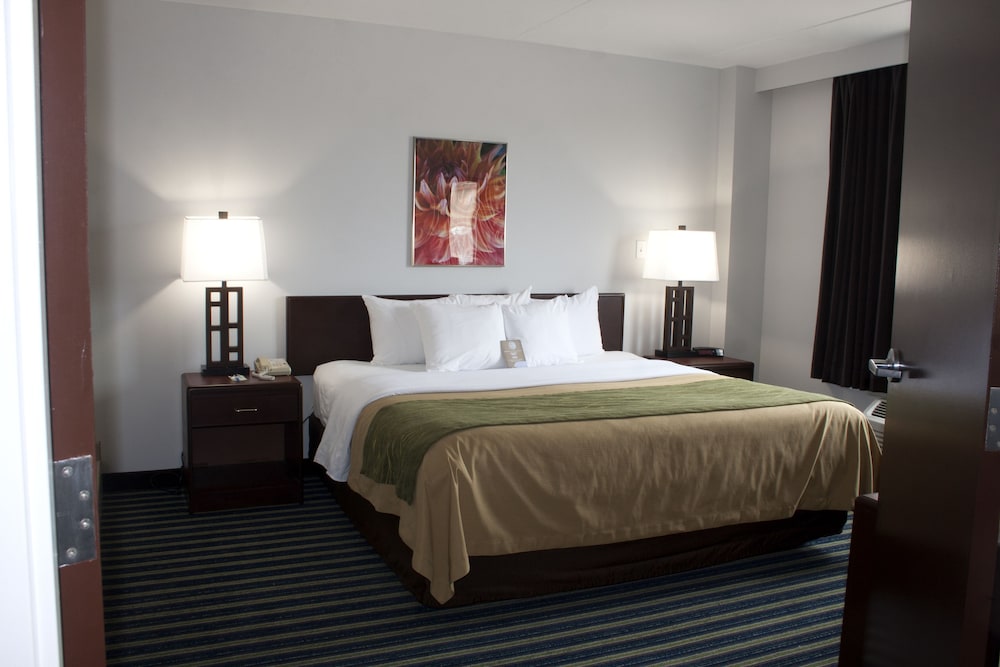 Superior Room, 1 King Bed, Non Smoking