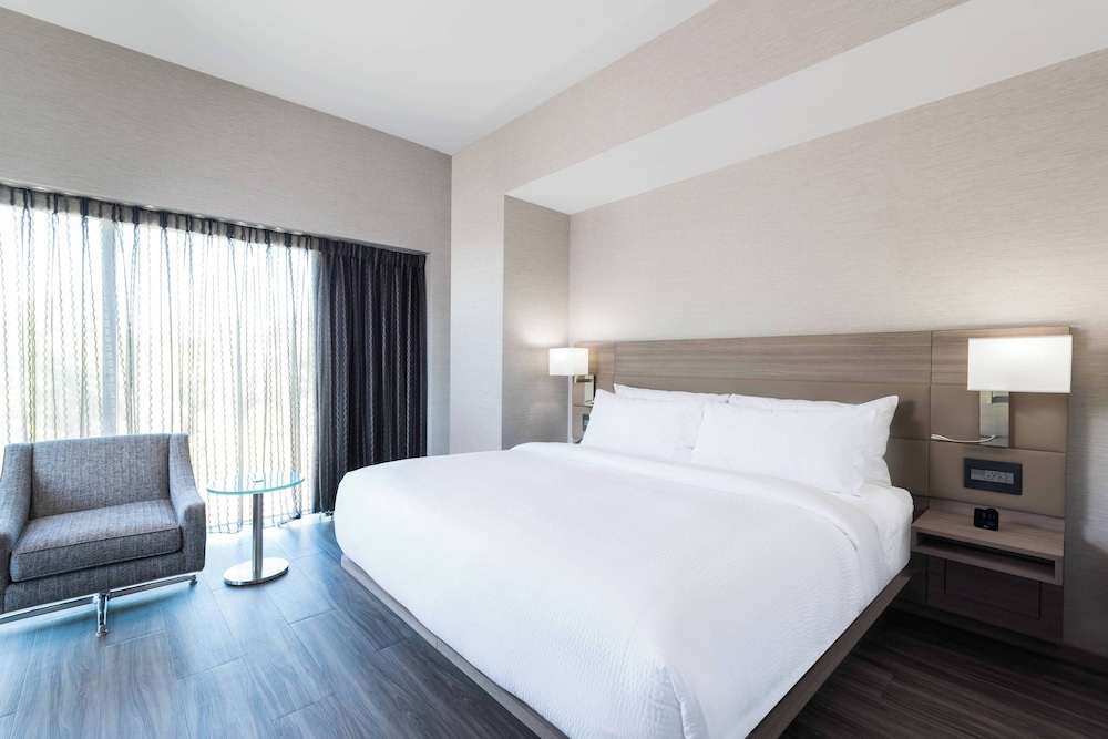 Suite, 1 Bedroom thumbnail 6