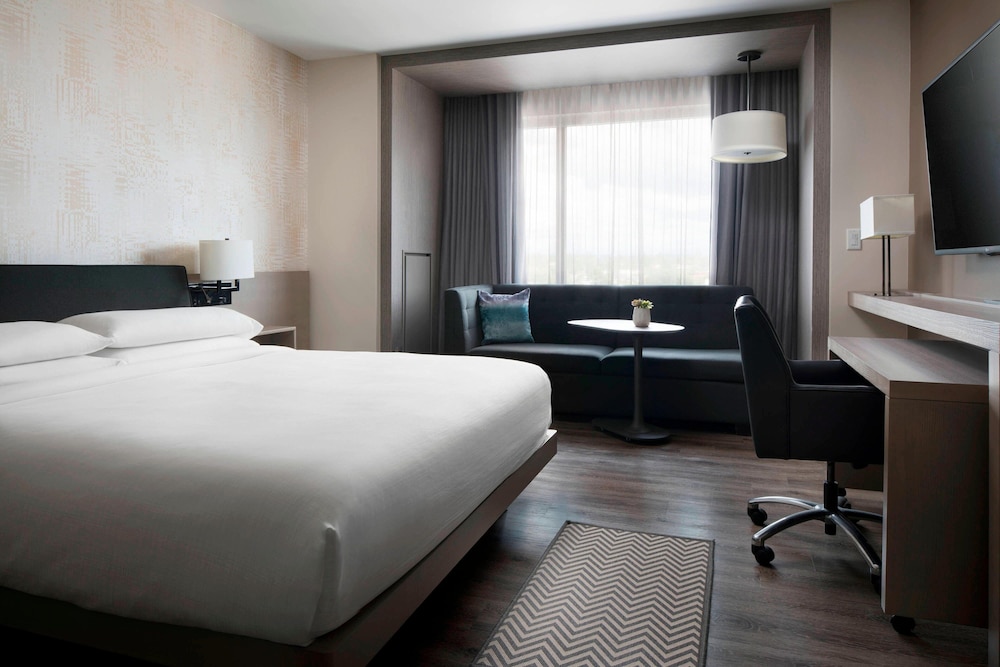 Room, 1 King Bed with Sofa bed (Mobility Accessible, Roll-in Shower) photo 3