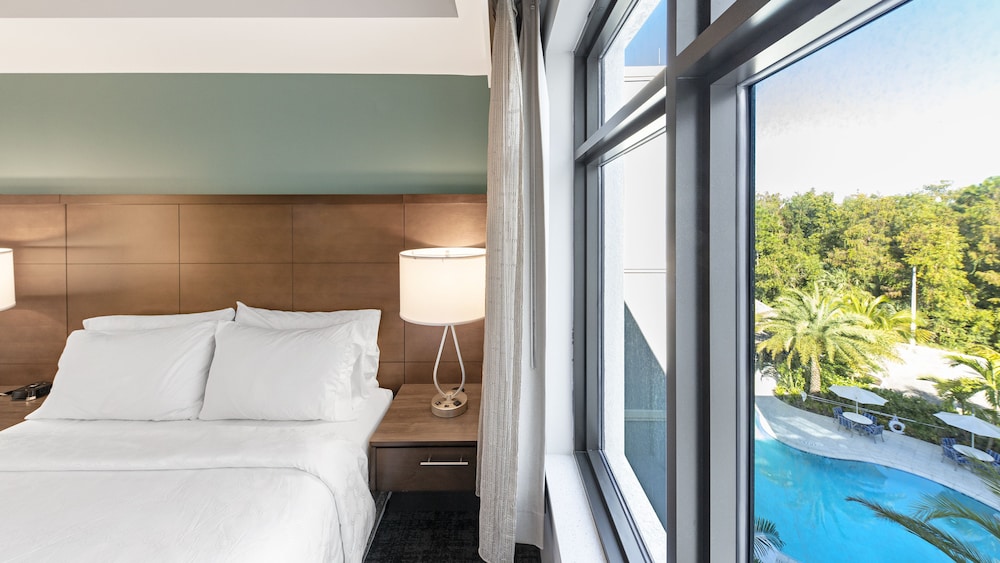 Studio Suite, 1 Queen Bed with Sofa bed, Kitchen, Pool View - Photo 5