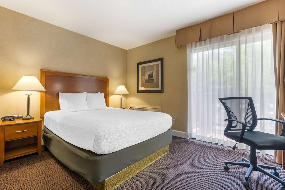 Suite, 1 Queen Bed, Non Smoking, Refrigerator & Microwave - Photo 3
