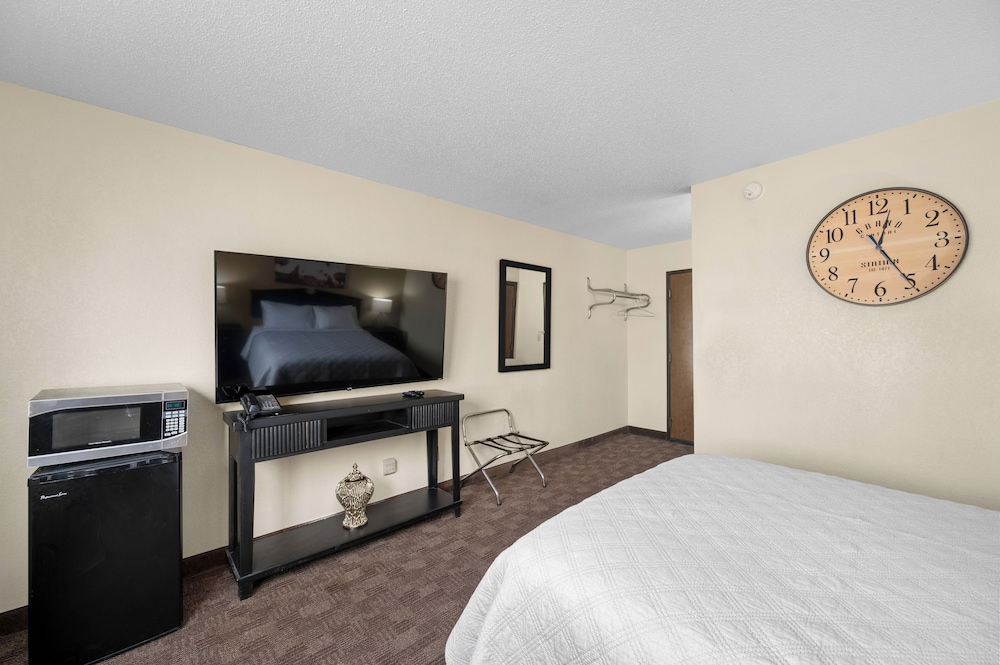 Single Queen Room photo 2
