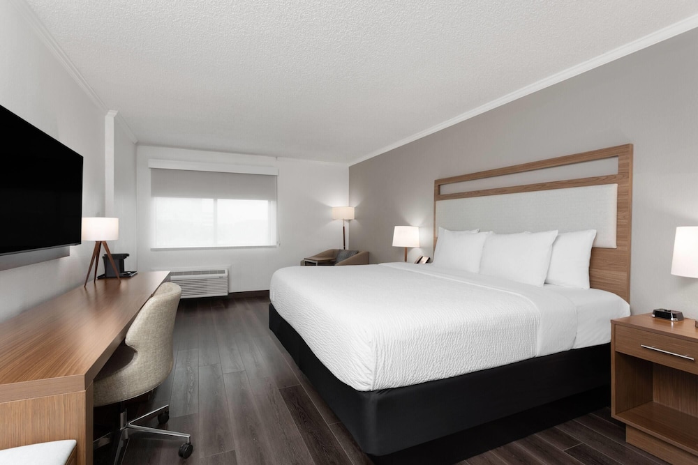 Room, 1 King Bed, Non Smoking photo 2