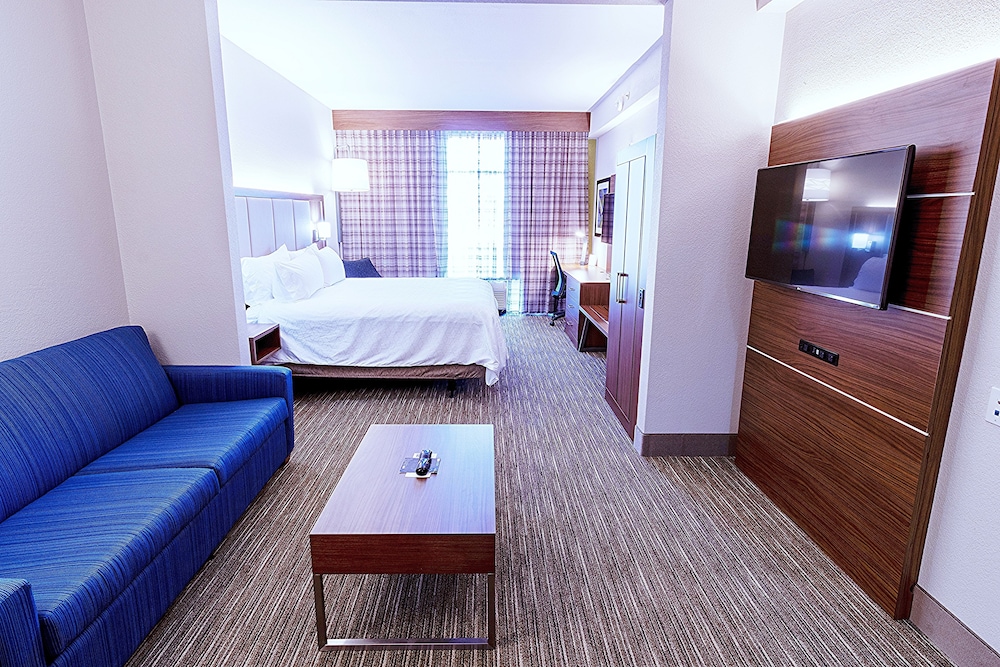 Suite, 1 King Bed - Photo 3