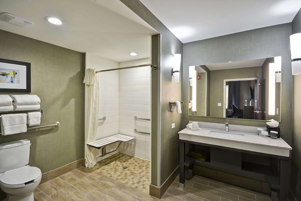 Studio Suite, 1 King Bed, Accessible (Mobility & Hearing, Roll-in Shower) thumbnail 5