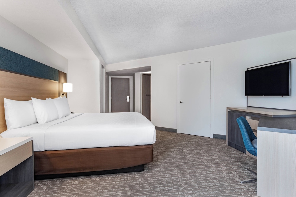 Standard Room, 1 King Bed, Roll-in Shower (Mobility Accessible) - Photo 1
