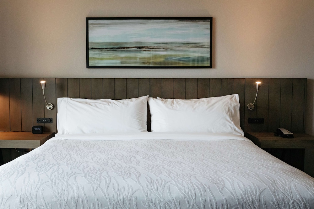 Suite, 1 Bedroom photo 1