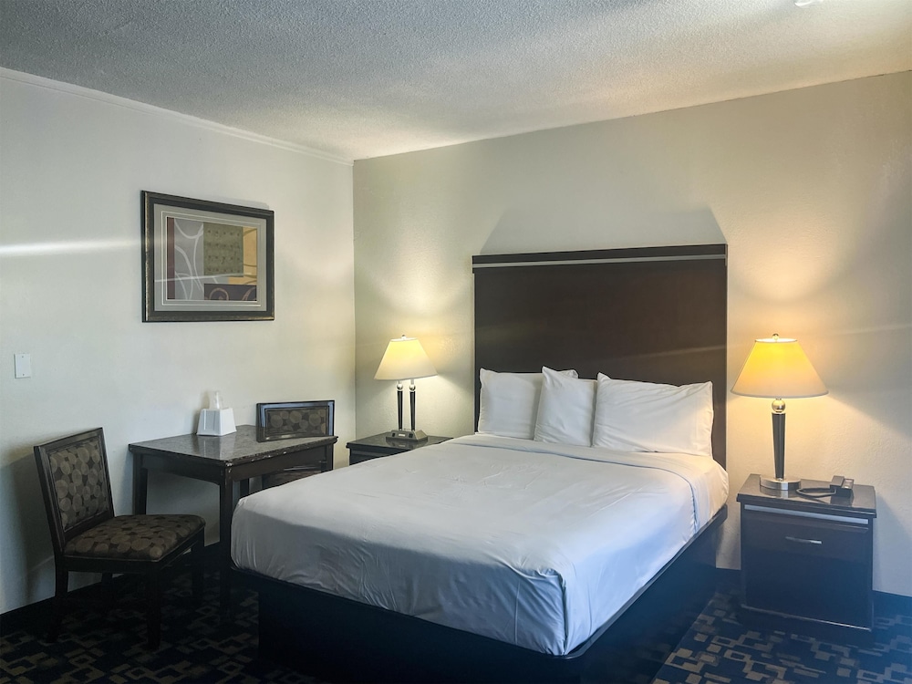 Deluxe Room, 1 King Bed, Non Smoking photo 1