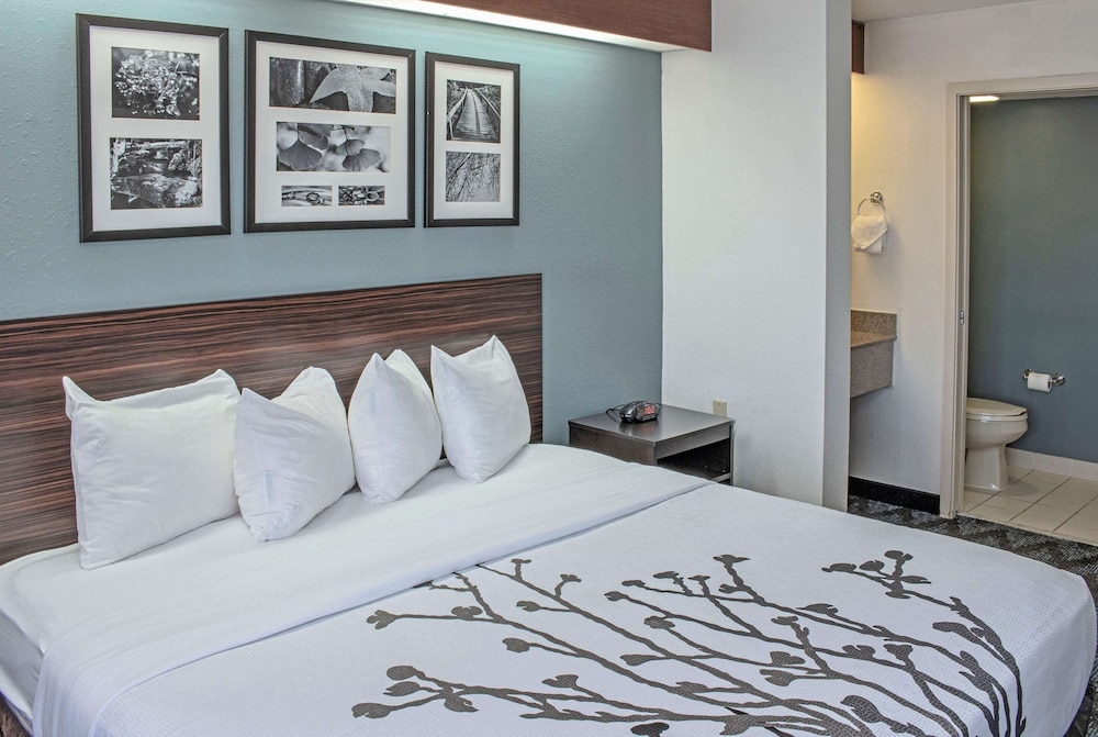 Room, 1 King Bed, Accessible, Non Smoking - Photo 5