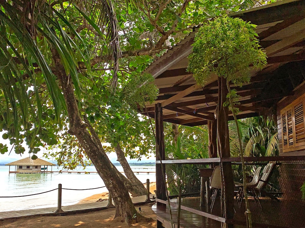 Honeymoon Cabin photo 3