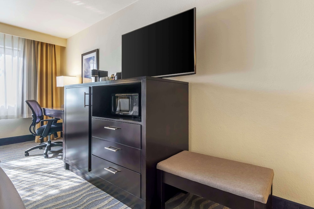 Standard Room, 1 King Bed, Accessible, Non Smoking - Photo 4
