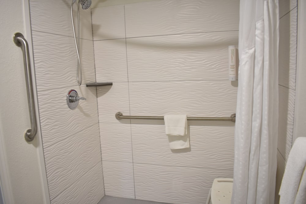 Room, 1 King Bed, Accessible, Non Smoking (Roll-in Shower) - Photo 10