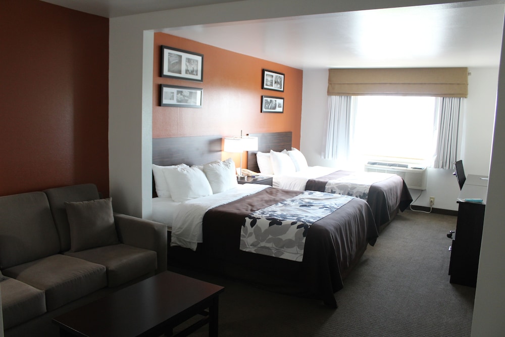 Suite, Multiple Beds, Non Smoking, Refrigerator & Microwave - Photo 7