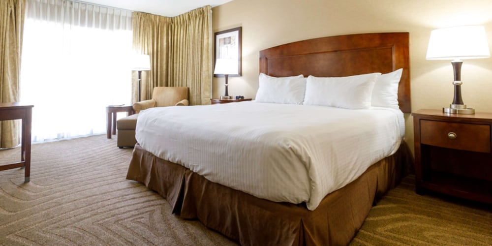 Premium Room, 1 King Bed photo 1
