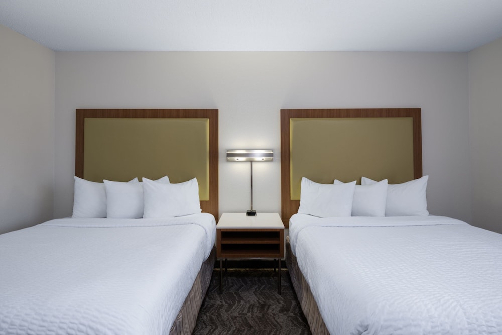 Studio, Multiple Beds - Photo 4