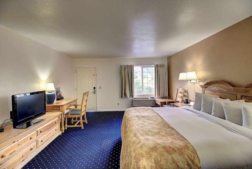 Room, 1 Queen Bed, Non Smoking (Pet-Friendly) - Photo 5