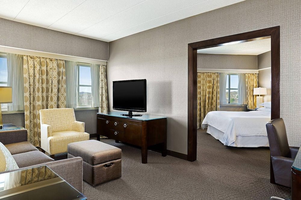 Junior Studio Suite, 1 King Bed, Executive Level - Photo 3