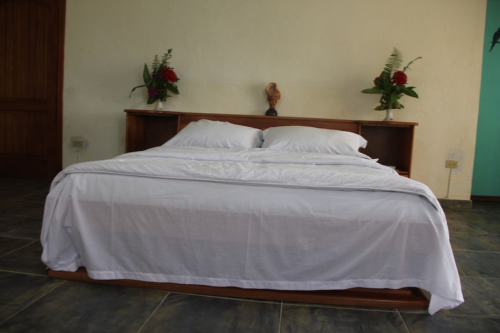Standard Room, Mountain View photo 1