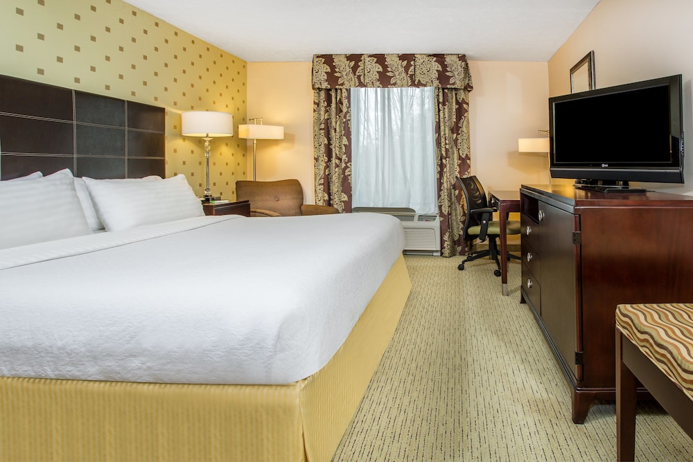 Standard Room, 1 King Bed, Accessible (Communications) - Photo 4