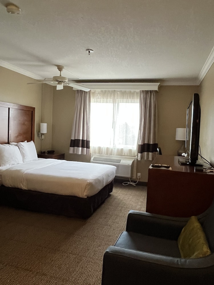 Standard Room, 1 Queen Bed, Non Smoking - Photo 4