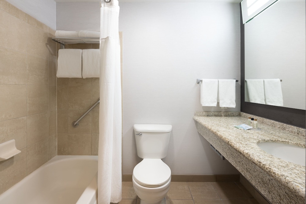 Suite, 1 Bedroom - Photo 12