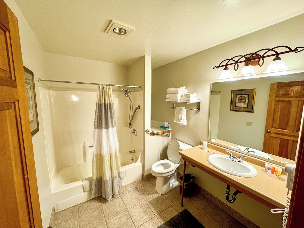 Basic Room, 1 King Bed, Accessible photo 1