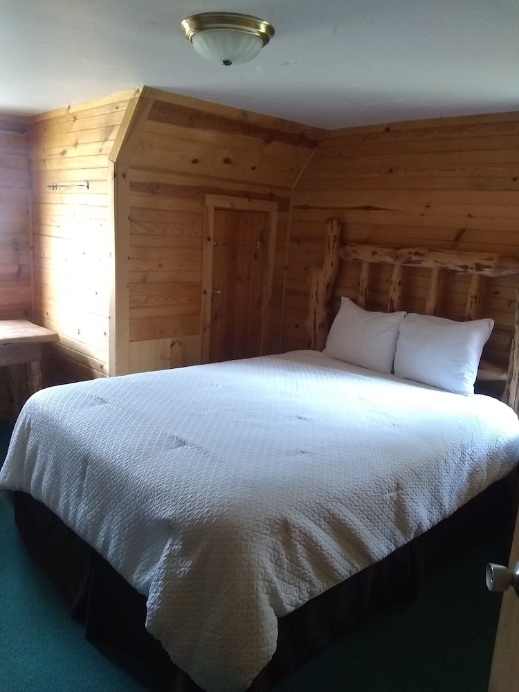 Basic Shared Dormitory photo 1