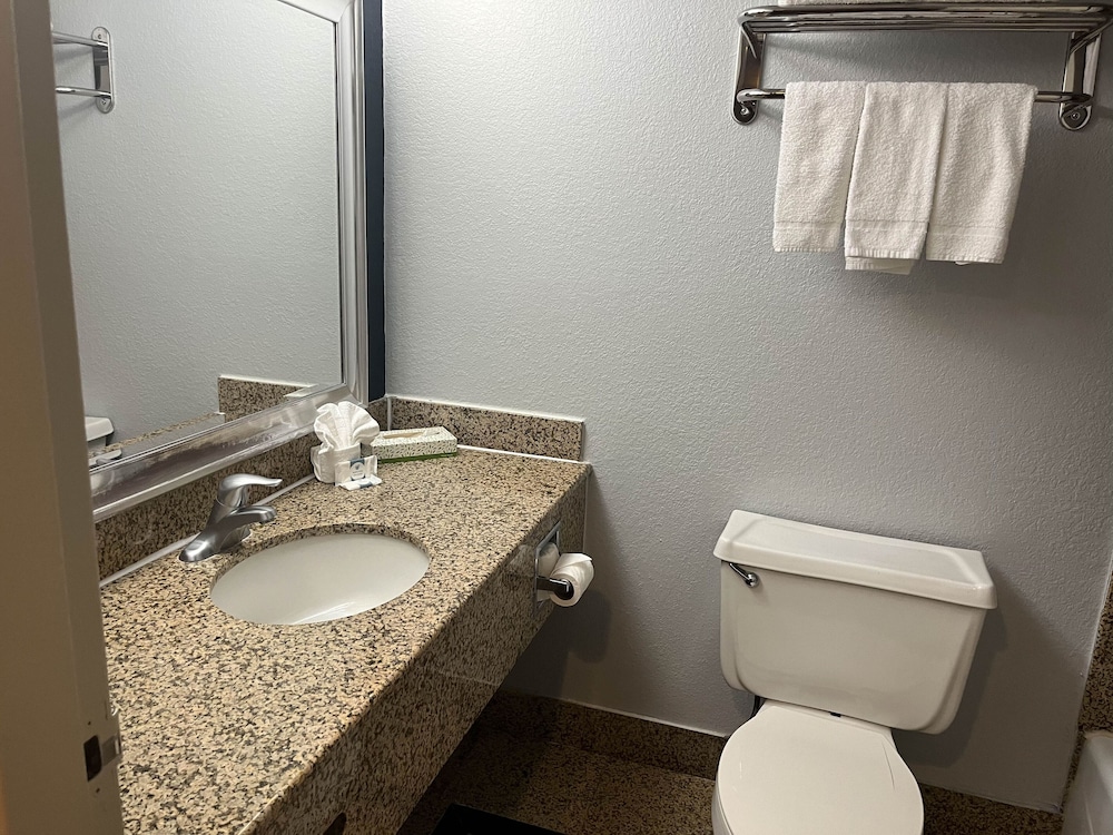 Standard Suite, 1 King Bed, Non Smoking, Kitchen - Photo 6
