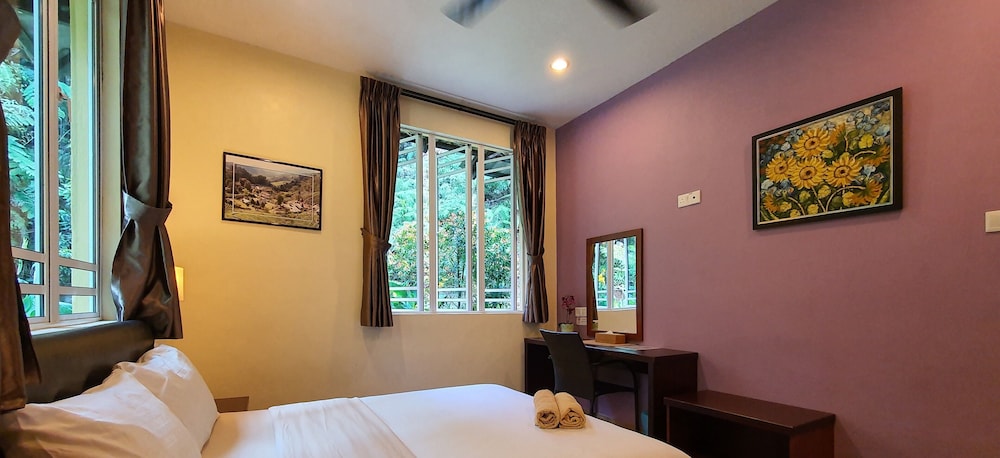 Deluxe Double Room photo 3