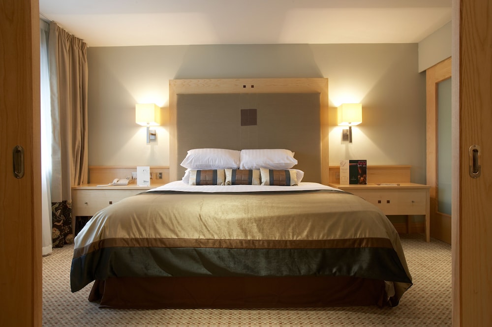 Luxury Studio Suite - Photo 4