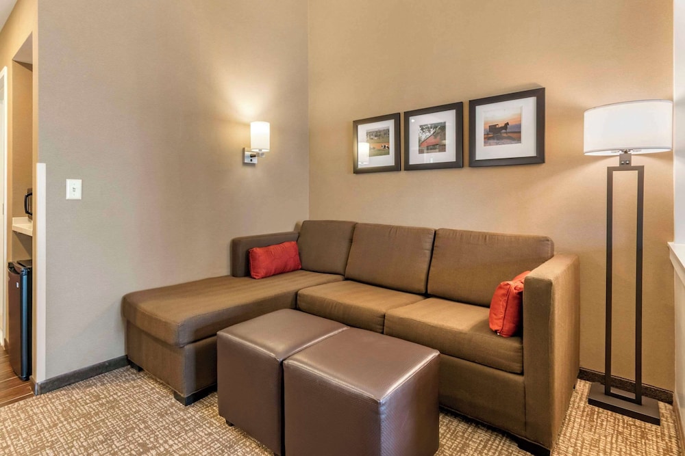 Suite, 1 King Bed with Sofa bed, Non Smoking photo 2
