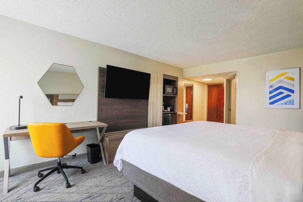 Room, 1 King Bed, Non Smoking (Leisure) - Photo 1