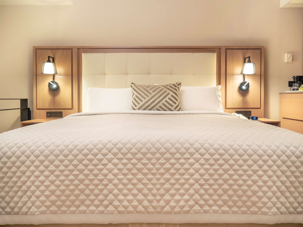 Executive Room, 1 King Bed - Photo 6