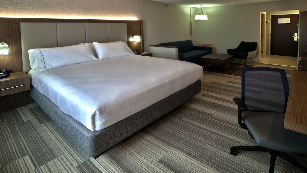 Suite, 1 King Bed with Sofa bed