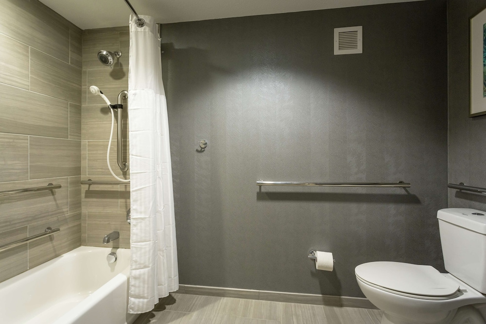 Suite, 1 King Bed, Accessible, Bathtub - Photo 1