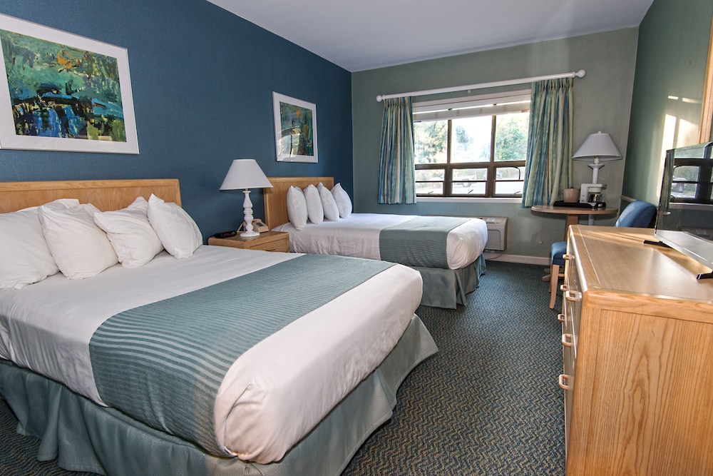 Standard Room, 2 Double Beds photo 1
